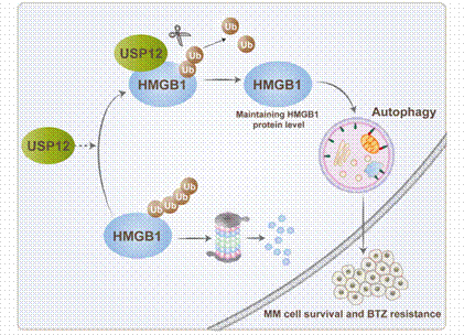 Fig-7